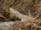 Ruisseau de Longvilly (5)